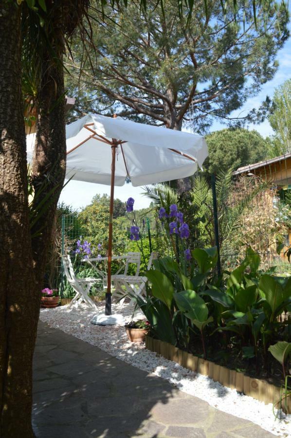 Le Cicale Villa Casal Palocco Exterior photo